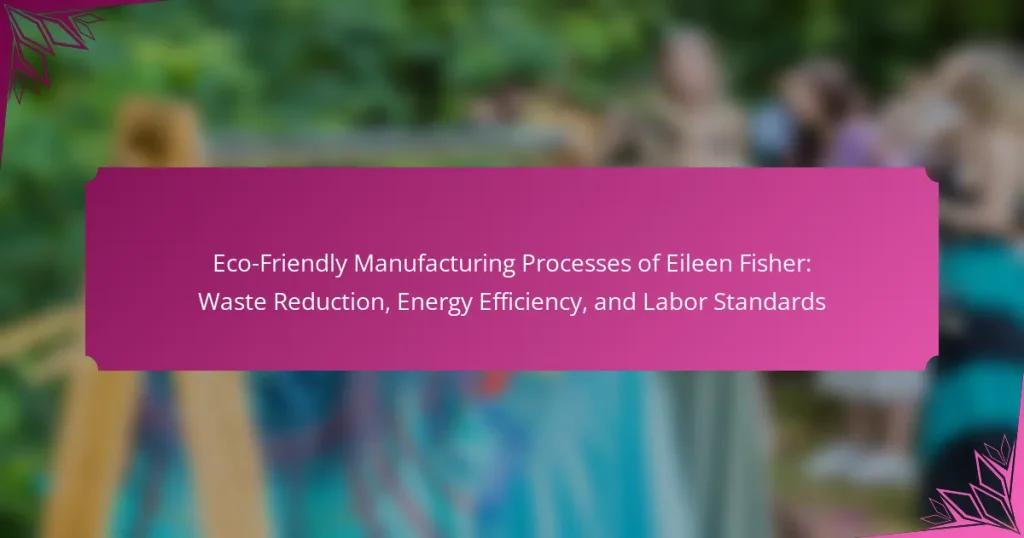 Eco-Friendly Manufacturing Processes of Eileen Fisher: Waste Reduction, Energy Efficiency, and Labor Standards