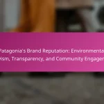 Patagonia’s Brand Reputation: Environmental Activism, Transparency, and Community Engagement