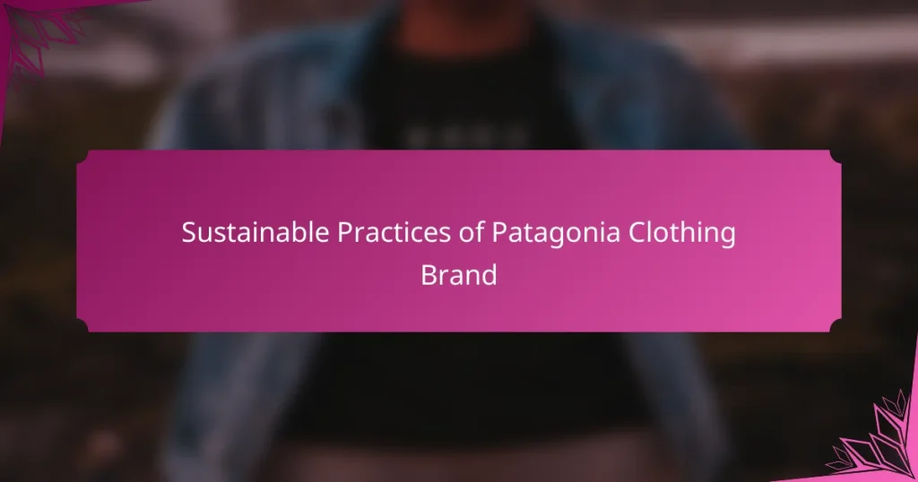 Sustainable Practices of Patagonia Clothing Brand