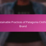 Sustainable Practices of Patagonia Clothing Brand