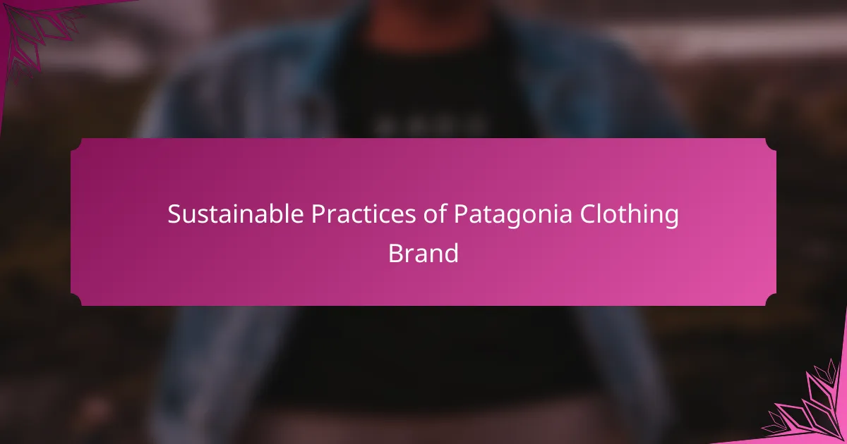 Sustainable Practices of Patagonia Clothing Brand