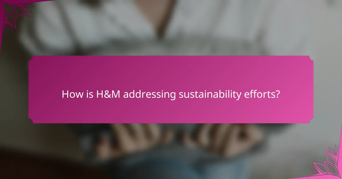 How is H&M addressing sustainability efforts?