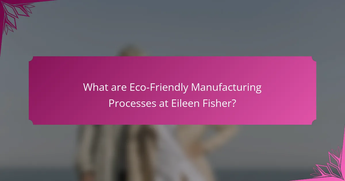 What are Eco-Friendly Manufacturing Processes at Eileen Fisher?