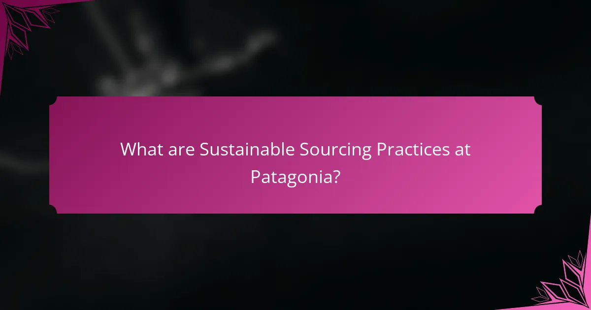 What are Sustainable Sourcing Practices at Patagonia?
