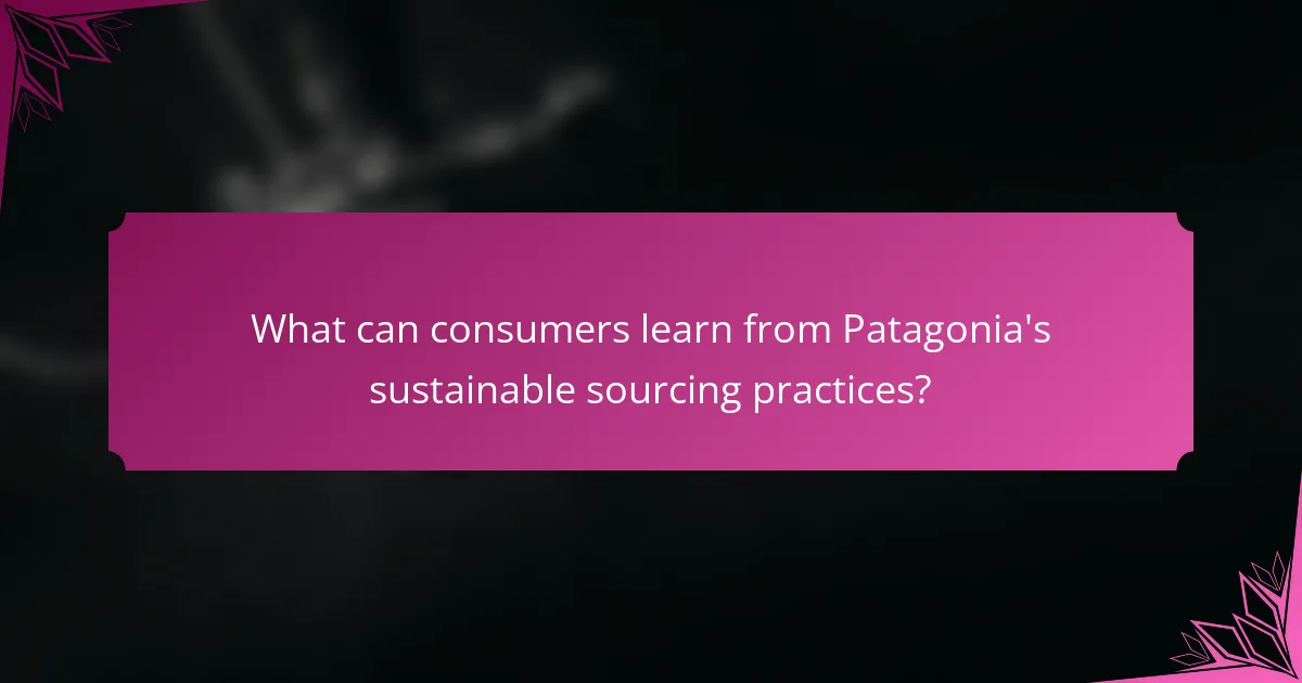 What can consumers learn from Patagonia's sustainable sourcing practices?