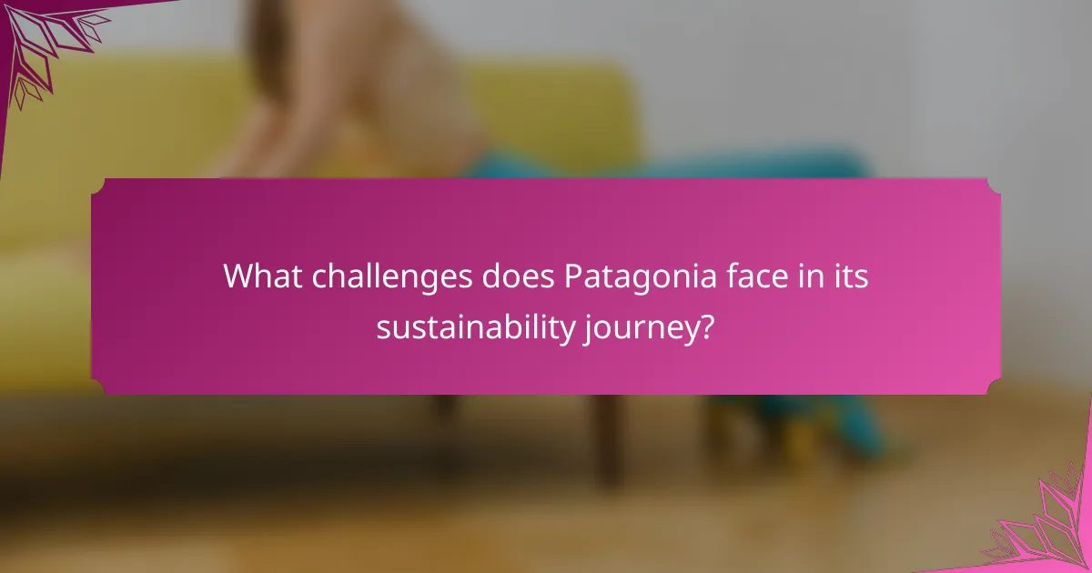 What challenges does Patagonia face in its sustainability journey?