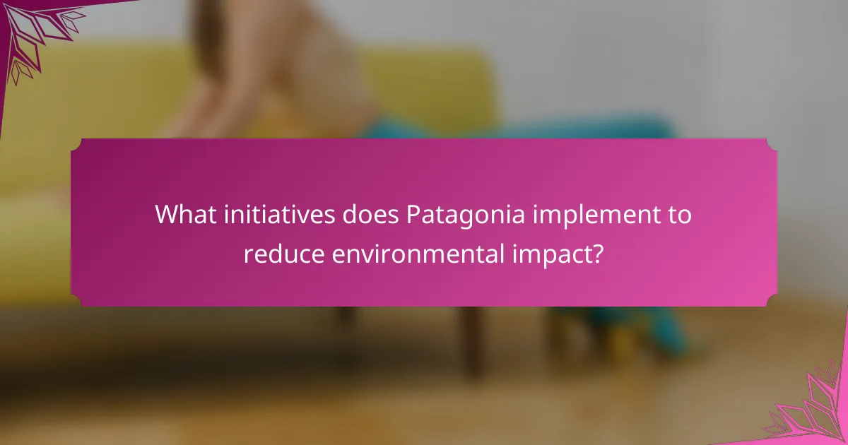 What initiatives does Patagonia implement to reduce environmental impact?