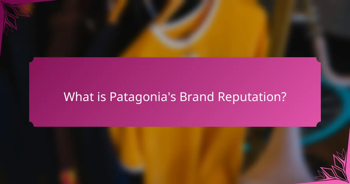What is Patagonia's Brand Reputation?