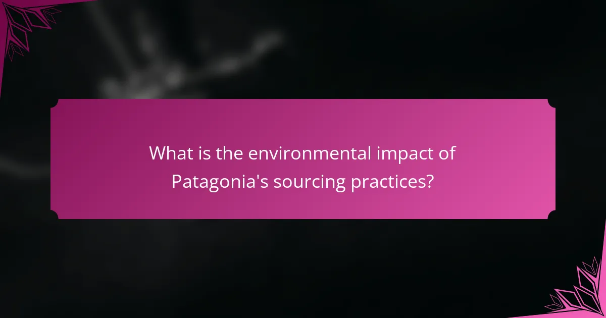 What is the environmental impact of Patagonia's sourcing practices?