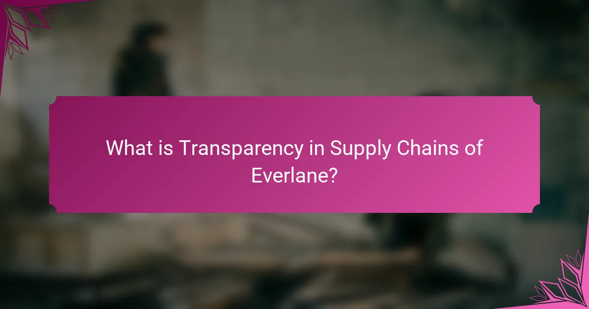What is Transparency in Supply Chains of Everlane?