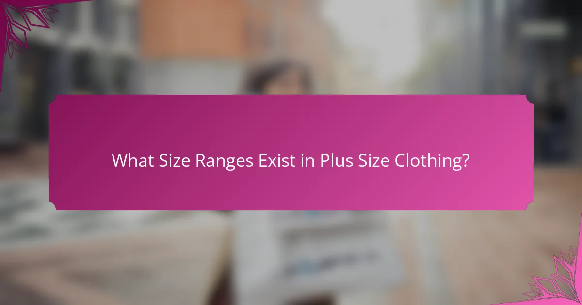 What Size Ranges Exist in Plus Size Clothing?